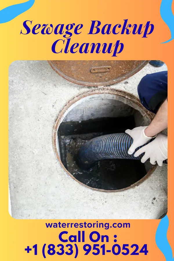 Sewage Backup Cleanup in Lacon, IL